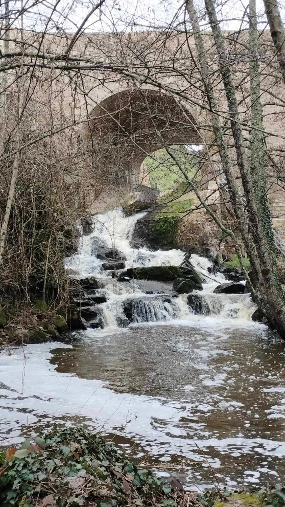Gite "La Petite" Saint-Benoit-du-Sault Eksteriør bilde